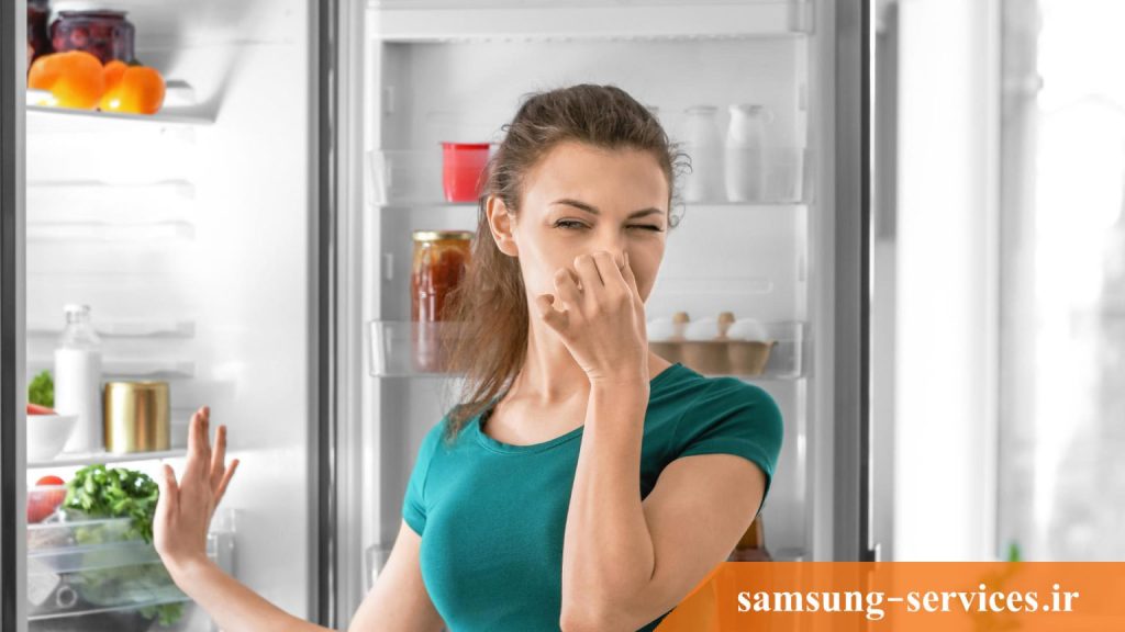 علت بوی بد یخچال